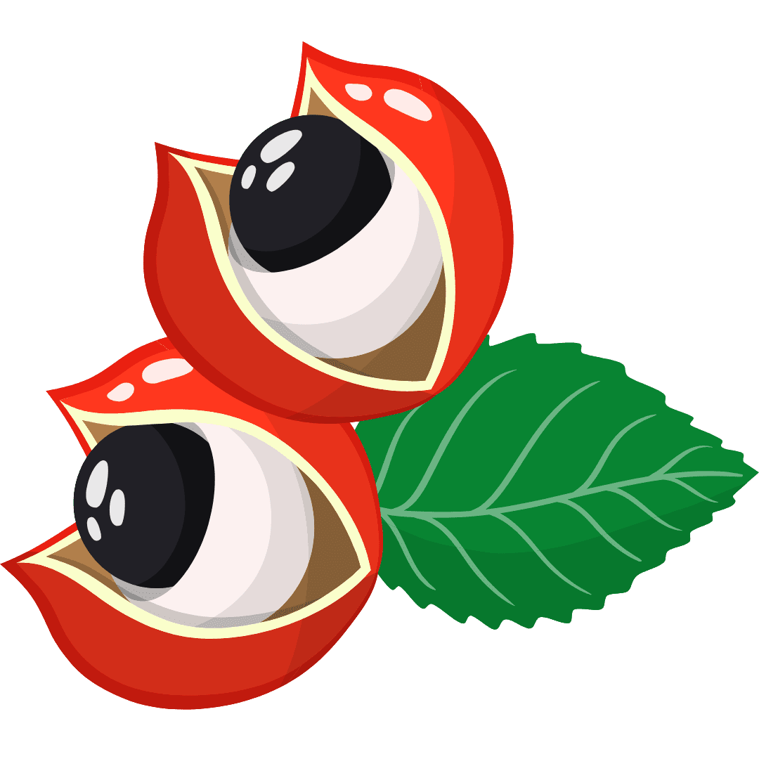 Guaraná